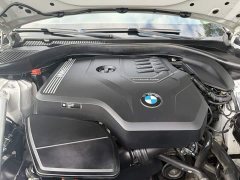 BMW 5 Series Facelift 530Li Leading Edition Luxury Package - photo 18