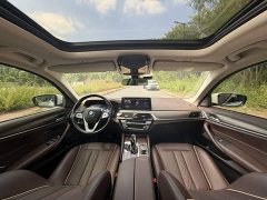 BMW 5 Series Facelift 530Li Leading Edition Luxury Package - photo 8