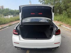 BMW 5 Series Facelift 530Li Leading Edition Luxury Package - photo 9