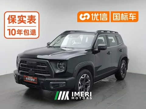 2024 Great Wall Dachshund 2.0T DCT Chinese Rural Dog Edition - car from China
