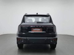 Great Wall Dachshund 2.0T DCT Chinese Rural Dog Edition - ფოტო 4