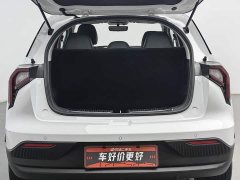 Geely Geometry E Firefly 301km Starlight - ფოტო 16