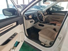 Geely ICON 1.5TD Chocolate Elegant Edition - ფოტო 15