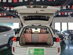 Geely ICON 1.5TD Chocolate Elegant Edition - ფოტო 18