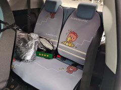 Chery Ant Sweet Pink Half-Sugar Edition LFP 29.2kWh 30kW 301km - photo 11