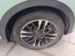 Chery Ant Sweet Pink Half-Sugar Edition LFP 29.2kWh 30kW 301km - photo 6