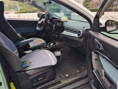 Chery Ant Sweet Pink Half-Sugar Edition LFP 29.2kWh 30kW 301km - photo 8