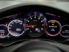 Porsche Panamera Executive Extended Wheelbase 2.9T - ფოტო 5