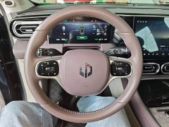 Leapmotor Leapo C11 Pure Electric 500 Comfort Edition - photo 10