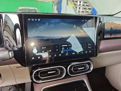 Leapmotor Leapo C11 Pure Electric 500 Comfort Edition - photo 12