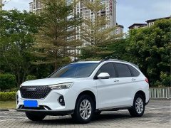 Haval M6 PLUS 1.5T DCT Luxury Smart Connected Edition - ფოტო 1