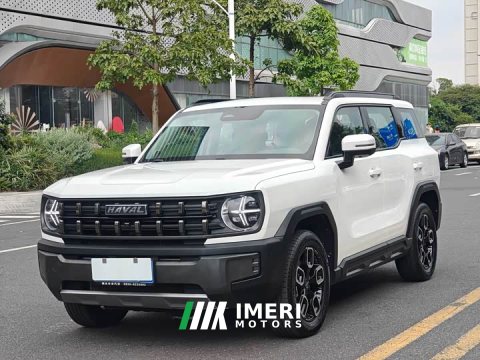 2023 Haval Cool Dog 1.5T DCT FWD Trendy Edition - ავტომობილი ჩინეთიდან