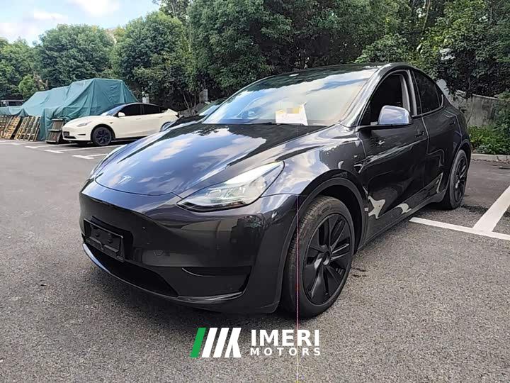 Tesla Model Y Rear-Wheel Drive