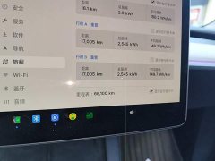 Tesla Model Y Rear-Wheel Drive - ფოტო 11
