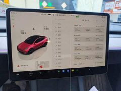 Tesla Model Y Rear-Wheel Drive - ფოტო 12
