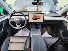 Tesla Model Y Rear-Wheel Drive - ფოტო 9