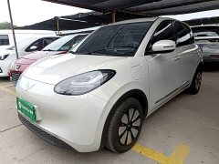 Wuling Binguo 333km Joy Edition - ფოტო 1