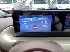 Wuling Binguo 333km Joy Edition - ფოტო 11