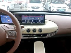 Wuling Binguo 333km Joy Edition - ფოტო 12