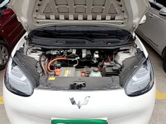 Wuling Binguo 333km Joy Edition - ფოტო 19