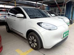 Wuling Binguo 333km Joy Edition - ფოტო 3