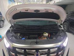 Denza D9 DM-i 980 AWD Luxury - photo 19