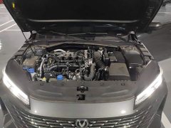Changan Eado Blue Whale 1.5T 500Bar Luxury - photo 10