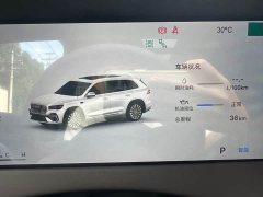 Geely Xingyue L Oriental Radiance 2.0T Auto Star Collection Edition - photo 14
