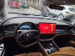 Denza D9 DM-i 970 AWD Premium Edition - ფოტო 10