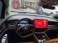 Denza D9 DM-i 970 AWD Premium Edition - ფოტო 11
