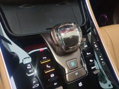 Denza D9 DM-i 970 AWD Premium Edition - ფოტო 15