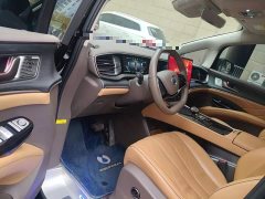 Denza D9 DM-i 970 AWD Premium Edition - ფოტო 17