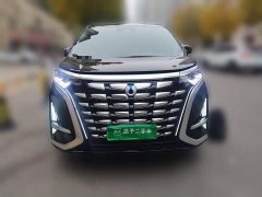 Denza D9 DM-i 970 AWD Premium Edition - ფოტო 2