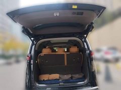 Denza D9 DM-i 970 AWD Premium Edition - ფოტო 20