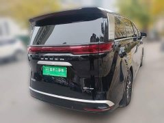 Denza D9 DM-i 970 AWD Premium Edition - ფოტო 6