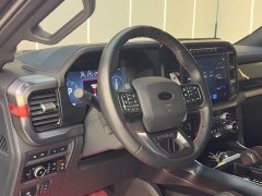 Ford F-150 Raptor 3.5T Raptor - ფოტო 15