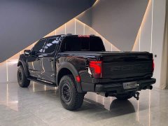 Ford F-150 Raptor 3.5T Raptor - ფოტო 9