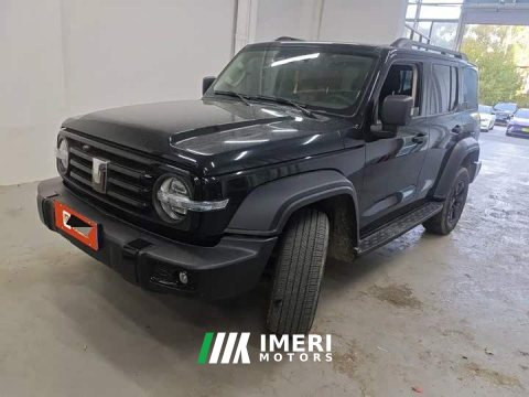 2024 Tank 300 2.0T Conqueror - ავტომობილი ჩინეთიდან