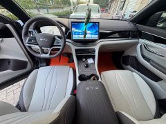 BYD Song Plus New Energy DM-i 112KM Prestige - ფოტო 2