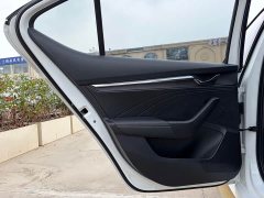 Skoda Octavia PRO TSI280 Luxury Edition - ფოტო 17