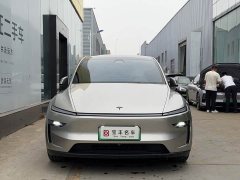 Tesla Model Y L Long Range All-Wheel Drive - ფოტო 2