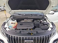 Geely Emgrand X6 PRO 1.4T Automatic Luxury - ფოტო 19