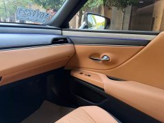 Lexus ES 300h Premium Edition - ფოტო 8