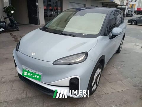 2023 Arcfox Koala Family Pro - автомобиль из Китая