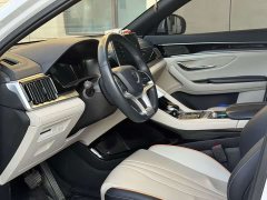 BYD Song Plus New Energy EV Premium - фото 12