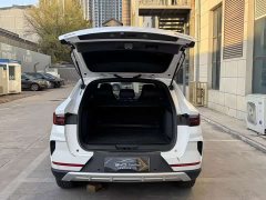 BYD Song Plus New Energy EV Premium - фото 9