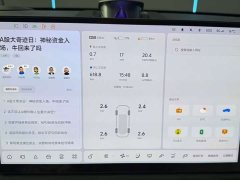 Li Auto L9 Pro - ფოტო 12