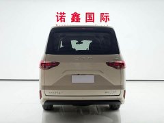 Beijing Ruisheng Wangpai M7 2.0L Automatic Long-wheelbase Business 7-seater - photo 5