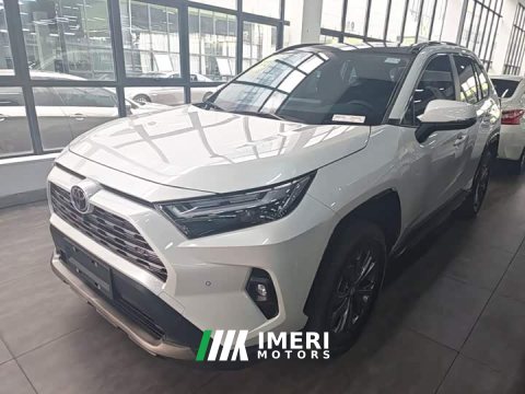 2025 Toyota RAV4 2.0L CVT FWD Fashion Plus - car from China