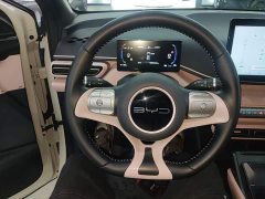 BYD Seagull Freedom Edition - photo 10